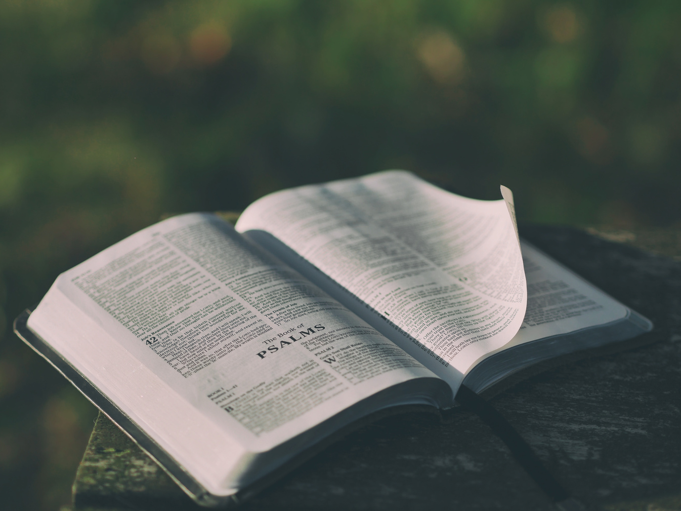 Open Bible in Wooden Table